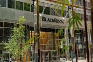 BlackRock China New Horizon Mixed Securities Investment Fund