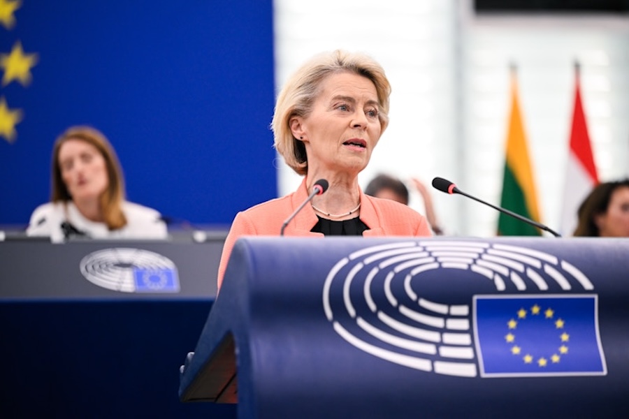 Von der Leyen's EU Commission survives Parliament confidence vote