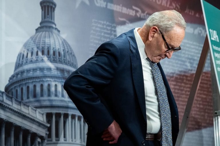 Chuck Schumer shutdown