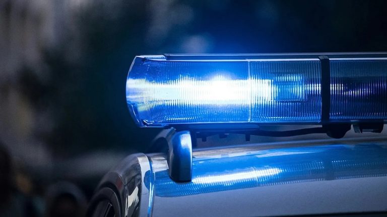 pro-Russian networks